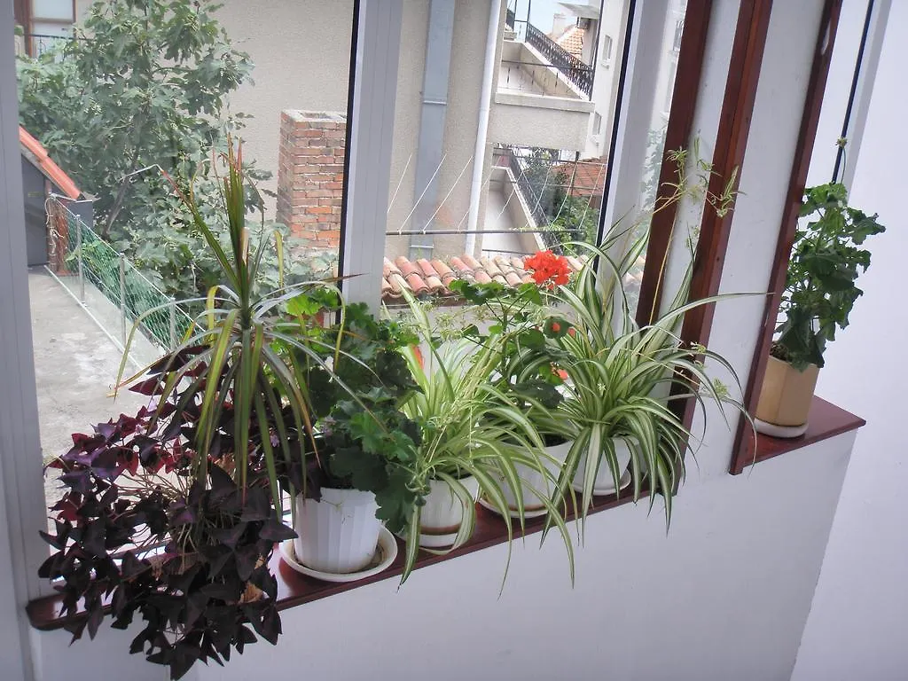 Guest house House Prodanovi Sozopol